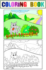 A funny wolf looks out over the fence. Set of coloring book and color sketch for example.