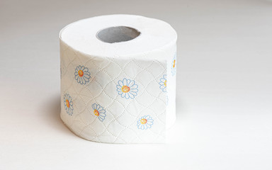 Klopapier freigestellt