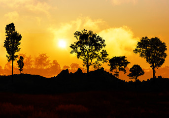 Fototapeta na wymiar sunlight on sky with silhouette tree and mountain