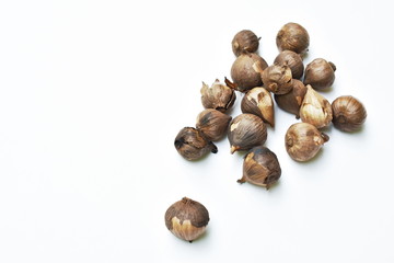 black garlic healthy food arranging on white background