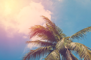 Retro coconut and blue sky background. Vintage filtered.