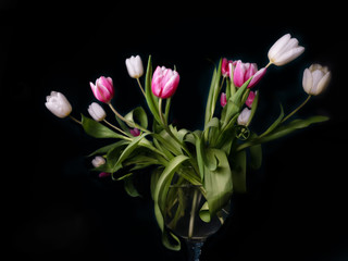 Bouquet of pink white and purple tulips in a vase on a black background, spring flowers in a vase, copy space