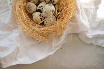 Obraz premium Easter. Quail eggs in the nest.