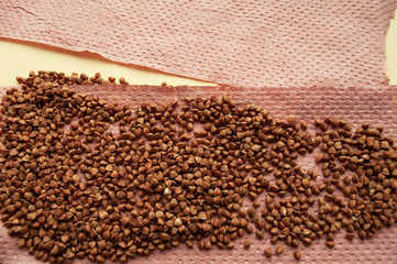 buckwheat is scattered on toilet paper. Consumer buying panic about coronavirus covid-19. People...