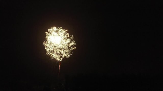 Large white firework with copyspace for text at the right side of the screen
