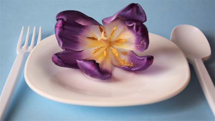 Obraz na płótnie Canvas beautiful lilac-yellow flower on a white plate, nearby white cutlery, the concept of the plant as food, veganism