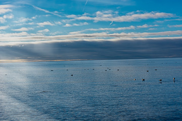 Coast of Sweden. blue white sky. calm water