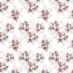 endless pattern with graphic print of crocuses drawn in brown ink