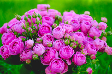 a variety of flowers.Bouquet . close up.
