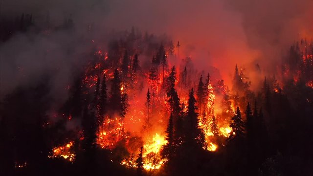 Aerial, tracking, drone shot, overlooking trees in flames, Alaskan forest fires destroying and causing air pollution, on a dark, summer night, in Alaska, USA
