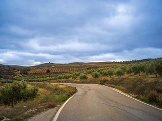 Fototapeta na wymiar Empty road in the countryside with dramatic sky