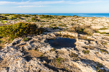 rocky soil in the area of Ayia Napa, Cyprus