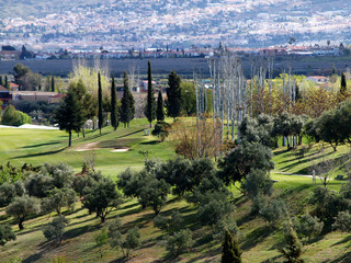 golf course at the valley