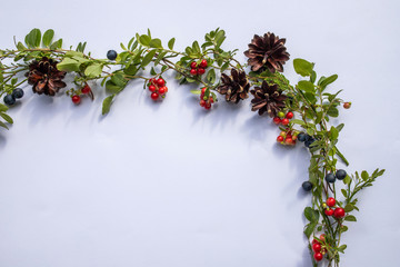 decoration of berries and cones