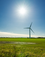 Fototapeta na wymiar Offshore windmills for renewable energy with blue sky