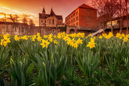 Kloster unser lieben Frauen im Fr&uuml;hling