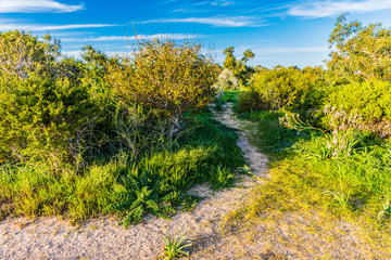 Naklejka premium walking path between the beaches of Protaras, Cyprus
