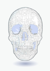Polygonal skull drawing on blue BG