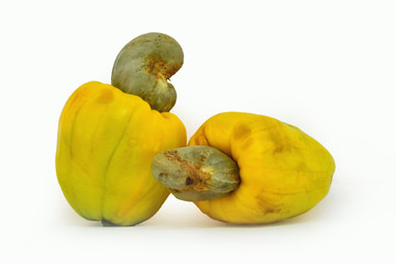Cashew fruit (Anacardium occidentale) on a white background. Clipping path