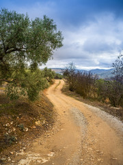 Fototapeta na wymiar Small dirt road on the countryside on mountains