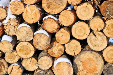 Sawn logs for firewood. A stack of logs. Sectional trees are tree rings. Natural background, wood texture.