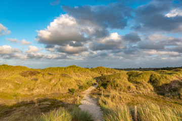 Dune landscape on the beach of St Peter-Ording