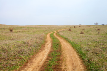 Fototapeta na wymiar winding road in a spring field