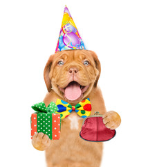 Happy puppy wearing a party hat and tie bow holds retro wallet and gift box. isolated on white background