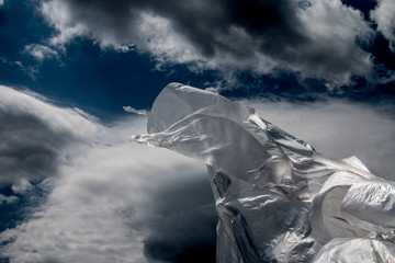 Obraz premium Plastica in volo