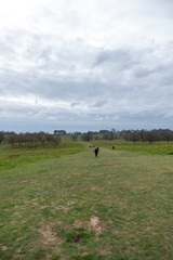 March 2020 walk around Petworth park