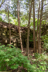 The Niagara Escarpment, Univ. of WI, Green Bay, Cofrom Arboretum, Green Bay, WI