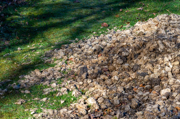 A pile of manure, dung, horse poop, on a lawn, to be used for growing vegetables and flowers. Green grass as background, copy space, place for text.