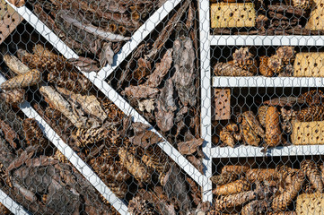 An insect hotel, bee house, for various species. Sections, with leaves, bricks, bark, pipes, cones, bamboo, reeds, wood, which insects can use as shelter, winter or propagate.