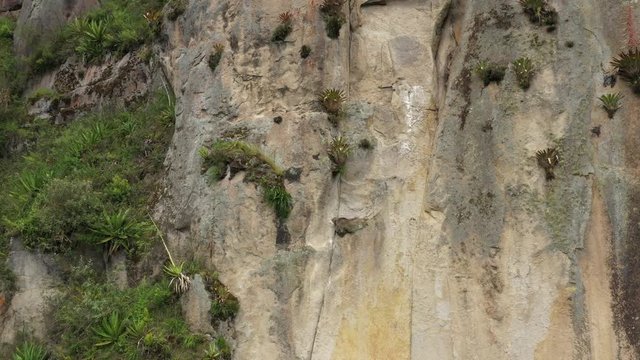 Slowly circeling around a large cliff that contains bromelias in flower and other trees and grasses
