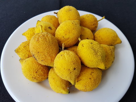  Platonia insignis, the sole species of the genus Platonia, is a tree of the family Clusiaceae native to South America in the humid forests of Brazil, specially in Amazon Rainforest.