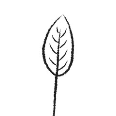 Spring flower. Hand drawn doodle element. - vector