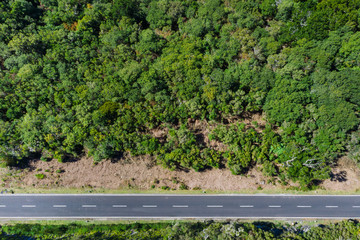 Top view aerial drone shot of a straight asphalt road leading in the green forest on Madera island, Portugal. Safety transport concept image.