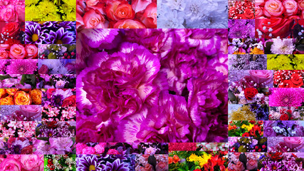 Collage (set) of bouquets. Beautiful floral composition