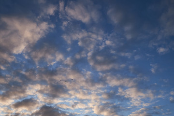 Sky background on sunset. Nature abstract composition