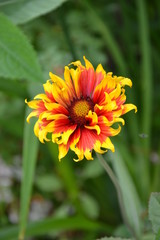 maison et jardin de monet a giverny france
