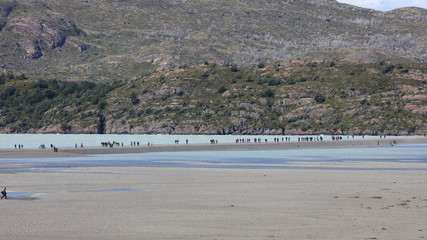 Lago Grey, Parque Nacional Torres del Paine, Patagonia, Chile