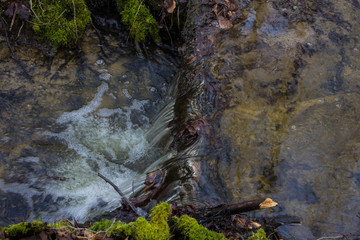 Beautiful creek in the forest. Fairy Stream. Background.