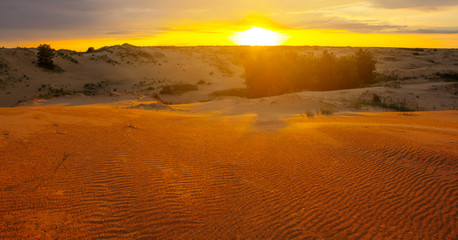 wide sandy desert at the sunset