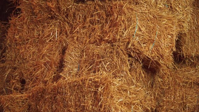 Straw bales are in stock
