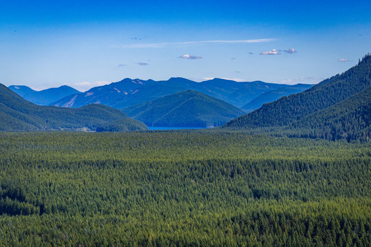 Rattlesnake Ridge Trail, Summer, Washington State