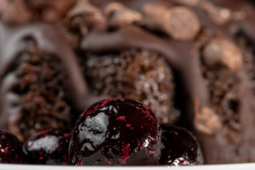 Small Chocolate Bunt cake with blueberries.