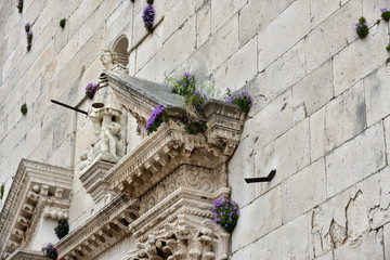 The flowers growing luxuriantly on the walls of the main church in Old Omis city, Dalmatia, Croatia