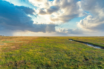 Fototapeta na wymiar Landscape with salt marshes in St Peter-Ording
