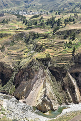 Fototapeta na wymiar Terrasses du canyon de Colca, Pérou