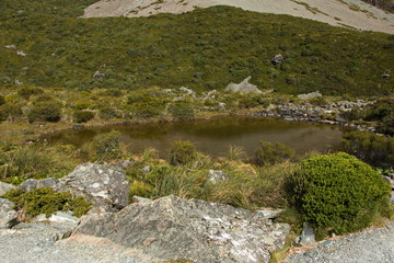 Alpine Tarn on Hooker Valley Track in Mount Cook National Park on South Island of New Zealand